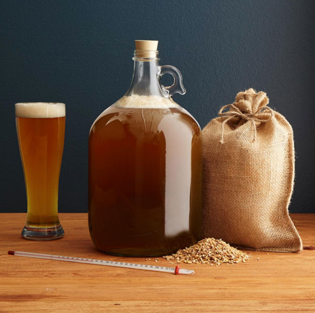 IPA Beer Brewing Kit | Gifts to Get The Men In Your Life found at https://youresopretty.com/gifts-for-men-2015/