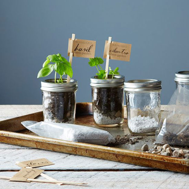 DIY Herb Garden | 100 Gifts for Men Under $50, check it out at https://youresopretty.com/100-gifts-for-men-under-50/